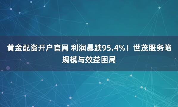 黄金配资开户官网 利润暴跌95.4%!世茂服务陷规模与效益困局