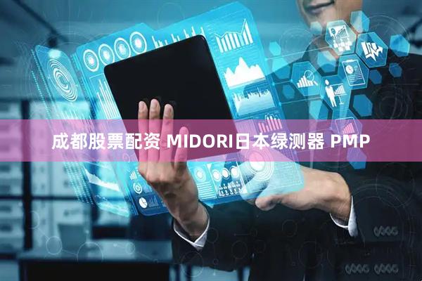 成都股票配资 MIDORI日本绿测器 PMP