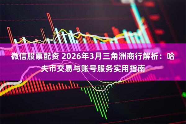 微信股票配资 2026年3月三角洲商行解析：哈夫币交易与账号服务实用指南