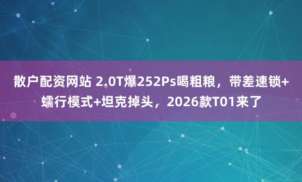 散户配资网站 2.0T爆252Ps喝粗粮，带差速锁+蠕行模式+坦克掉头，2026款T01来了